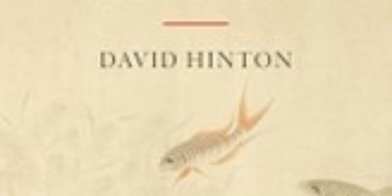 Winter 2025: Zorgeloos gemak